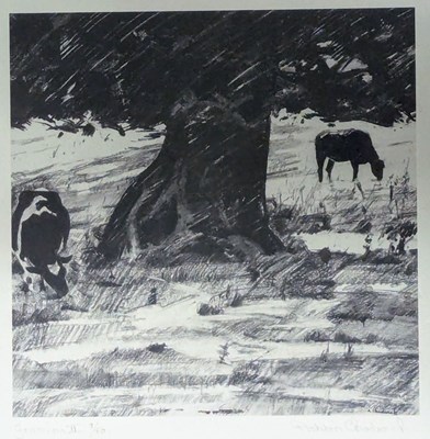 Lot 419 - ASHTON CHADWICK SWAc - GRAZING II - LIMITED EDITION