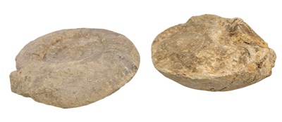Lot 131 - NATURAL HISTORY - TWO AMMONITE FOSSILS