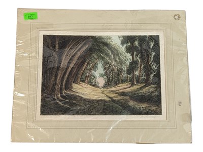 Lot 693 - 20TH CENTURY VINTAGE WOODLAND COLOURED ETCHING