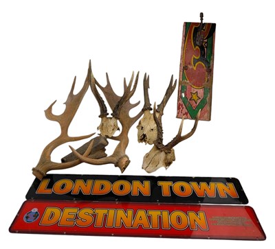 Lot 77 - MIXED SELECTION OF DISPLAY ITEMS