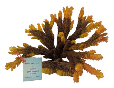 Lot 95 - GREAT BARRIER REEF CORAL ORNAMENT BY TARCA ORAL GARDEN