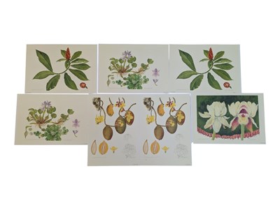 Lot 310 - CORINNA SARGOOD (BRITISH, 1941 - ) - COLLECTION OF SEVEN LIMITED EDITION SIGNED PRINTS