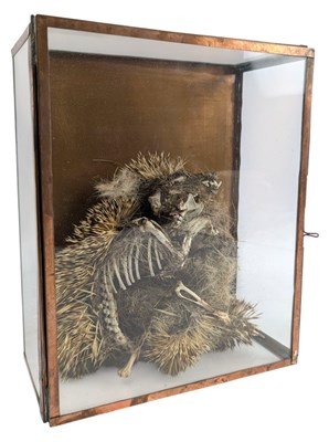 Lot 77 - NATURAL HISTORY INTEREST - 19TH CENTURY TAXIDERMY MUMMIFIED HEDGEHOG IN GLASS CASE