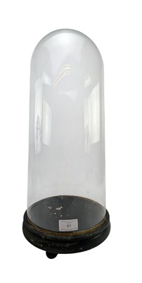 Lot 81 - TALL VICTORIAN 19TH CENTURY GLASS & WOODEN SPECIMENT DISPLAY DOME