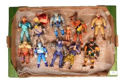 Lot 653 - THUNDERCATS - LJN - COLLECTION OF ACTION FIGURES