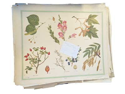 Lot 354 - LARGE COLLECTION OF LATE 20TH CENTURY NURSERY / CLASSROOM EDUCATION PRINTS