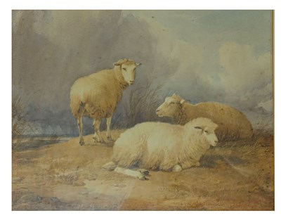 Lot 510 - THOMAS SIDNEY COOPER RA (1803-1902) - 19TH CENTURY WATERCOLOUR PAINTING OF SHEEP