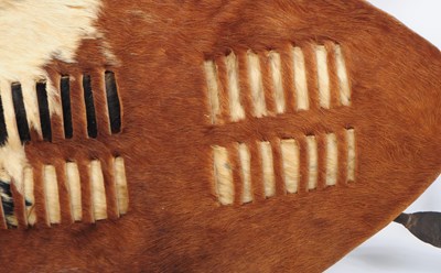 Lot 277 - SOUTH AFRICAN ZULU SHIELD