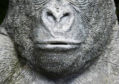 Lot 5 - FORMER BRISTOL ZOO GARDENS - LIFESIZE GORILLA MONEYBOX