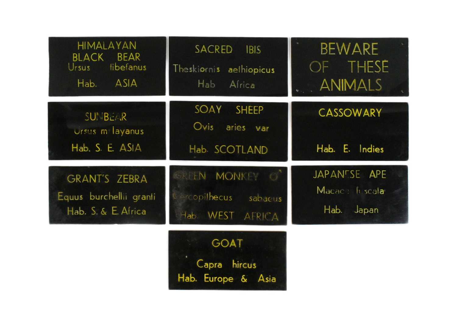 Lot 7 - FORMER BRISTOL ZOO GARDENS - VINTAGE ANIMAL ENCLOSURE PLAQUES