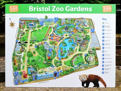 Lot 12 - FORMER BRISTOL ZOO GARDENS - ORIGINAL C2000 LARGE MAP SIGN