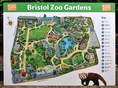 Lot 12 - FORMER BRISTOL ZOO GARDENS - ORIGINAL C2000 LARGE MAP SIGN