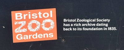 Lot 18 - FORMER BRISTOL ZOO GARDENS - MONKEYS AT BRISTOL ZOO LARGE PHOTOGRAPH