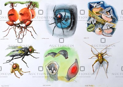 Lot 26 - FORMER BRISTOL ZOO GARDENS - ORIGINAL ARTWORK