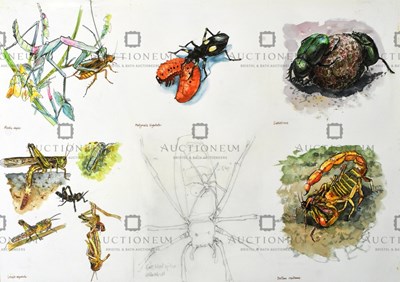 Lot 26 - FORMER BRISTOL ZOO GARDENS - ORIGINAL ARTWORK