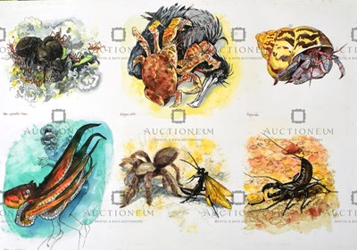 Lot 26 - FORMER BRISTOL ZOO GARDENS - ORIGINAL ARTWORK