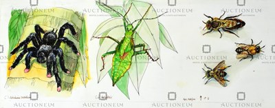 Lot 26 - FORMER BRISTOL ZOO GARDENS - ORIGINAL ARTWORK