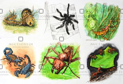 Lot 26 - FORMER BRISTOL ZOO GARDENS - ORIGINAL ARTWORK