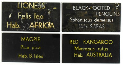 Lot 34 - FORMER BRISTOL ZOO GARDENS - COLLECTION OF VINTAGE ANIMAL ENCLOSURE PLAQUES