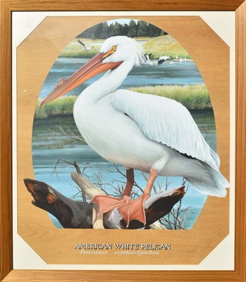 Lot 36 - FORMER BRISTOL ZOO GARDENS - SUSAN JANE - AMERICAN WHITE PELICAN - PAINTING