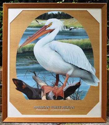 Lot 36 - FORMER BRISTOL ZOO GARDENS - SUSAN JANE - AMERICAN WHITE PELICAN - PAINTING