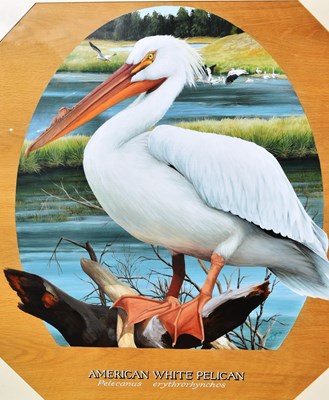Lot 36 - FORMER BRISTOL ZOO GARDENS - SUSAN JANE - AMERICAN WHITE PELICAN - PAINTING