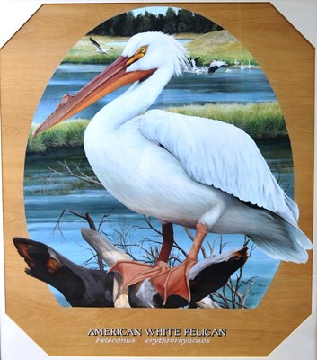 Lot 36 - FORMER BRISTOL ZOO GARDENS - SUSAN JANE - AMERICAN WHITE PELICAN - PAINTING