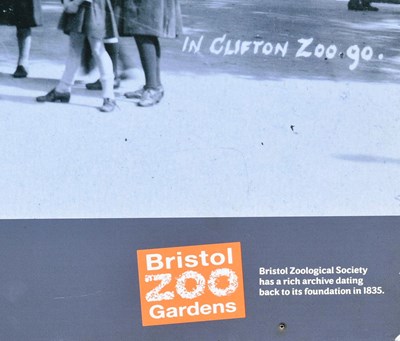 Lot 44 - FORMER BRISTOL ZOO GARDENS - 'IN BRISTOL ZOO' LARGE PHOTOGRAPH