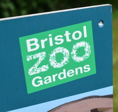 Lot 45 - FORMER BRISTOL ZOO GARDENS - MACAQUE 'FACE IN THE HOLE' SIGN