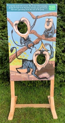 Lot 45 - FORMER BRISTOL ZOO GARDENS - MACAQUE 'FACE IN THE HOLE' SIGN