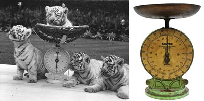 Lot 48 - FORMER BRISTOL ZOO GARDENS - VINTAGE SALTER WEIGHING SCALES