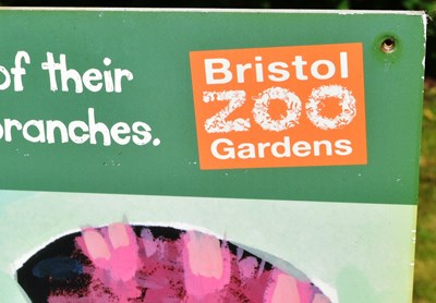 Lot 55 - FORMER BRISTOL ZOO  GARDENS - RED PANDAS 'FACE IN THE HOLE' SIGN