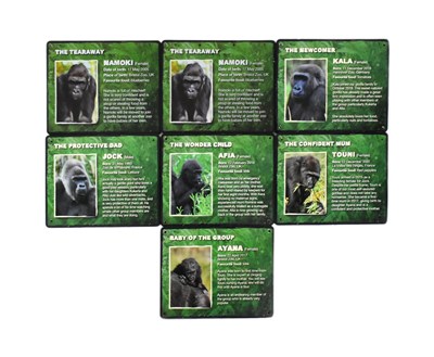 Lot 57 - FORMER BRISTOL ZOO GARDENS - GORILLA ISLAND IDENTIFICATION SIGNS