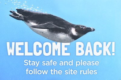 Lot 61 - FORMER BRISTOL ZOO GARDENS - 2020 'WELCOME BACK' WELCOME SIGN