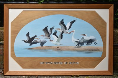 Lot 63 - FORMER BRISTOL ZOO GARDENS - 'SEVEN SPECIES OF PELICAN' - SUSAN JANE - PAINTING