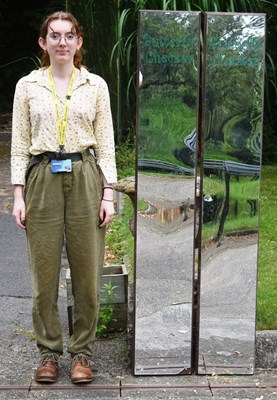 Lot 66 - FORMER BRISTOL ZOO GARDENS - BUTTERFLY CHECKER MIRRORS