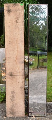 Lot 66 - FORMER BRISTOL ZOO GARDENS - BUTTERFLY CHECKER MIRRORS