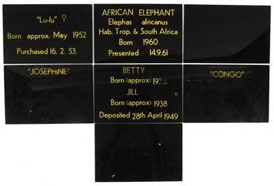 Lot 68 - FORMER BRISTOL ZOO GARDENS - VINTAGE ANIMAL ENCLOSURE PLAQUES