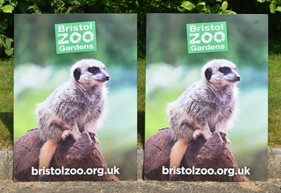 Lot 87 - FORMER BRISTOL ZOO GARDENS - TWO MEERKAT ADVERTISING SIGNS