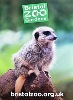 Lot 87 - FORMER BRISTOL ZOO GARDENS - TWO MEERKAT ADVERTISING SIGNS