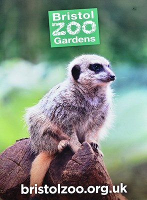 Lot 87 - FORMER BRISTOL ZOO GARDENS - TWO MEERKAT ADVERTISING SIGNS