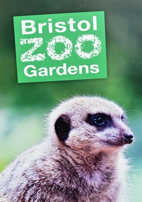 Lot 87 - FORMER BRISTOL ZOO GARDENS - TWO MEERKAT ADVERTISING SIGNS