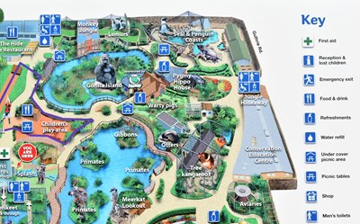 Lot 88 - FORMER BRISTOL ZOO GARDENS - ORIGINAL C2000 LARGE MAP SIGN
