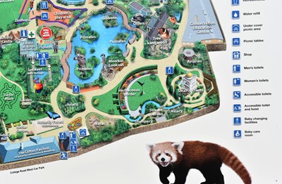 Lot 88 - FORMER BRISTOL ZOO GARDENS - ORIGINAL C2000 LARGE MAP SIGN
