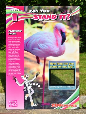 Lot 89 - FORMER BRISTOL ZOO GARDENS - 'CAN YOU STAND IT?' FEATURE