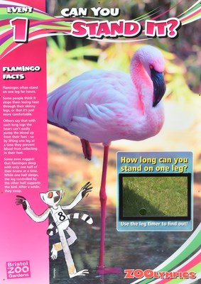Lot 89 - FORMER BRISTOL ZOO GARDENS - 'CAN YOU STAND IT?' FEATURE