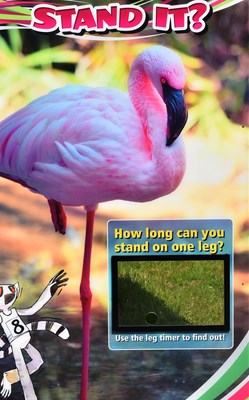 Lot 89 - FORMER BRISTOL ZOO GARDENS - 'CAN YOU STAND IT?' FEATURE