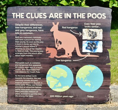 Lot 94 - FORMER BRISTOL ZOO GARDENS - 'THE CLUES ARE IN THE POOS' ORIGINAL SIGN