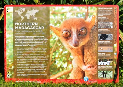 Lot 101 - FORMER BRISTOL ZOO GARDENS - NORTHERN MADAGASCAR INFORMATION SIGN