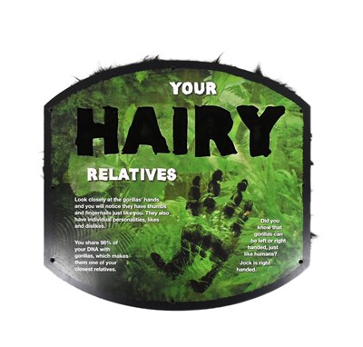 Lot 126 - FORMER BRISTOL ZOO GARDENS - YOUR HAIRY RELATIVES - INTERACTIVE ZOO SIGN